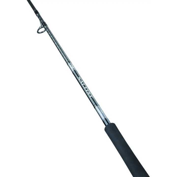 CANNA DAIWA SALTIST X SHORE JIGGING