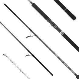 CANNA DAIWA SALTIST X SHORE JIGGING