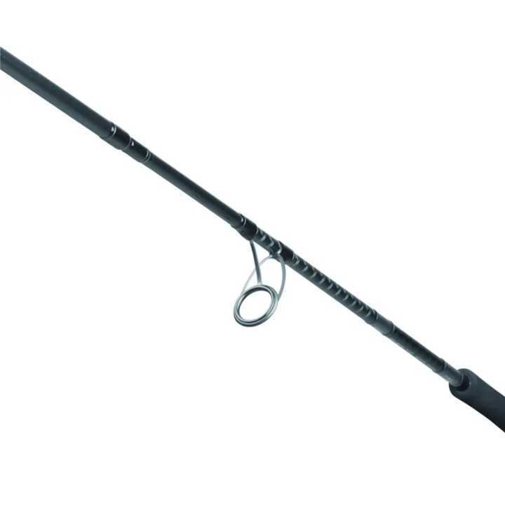 CANNA DAIWA SALTIST X SHORE JIGGING