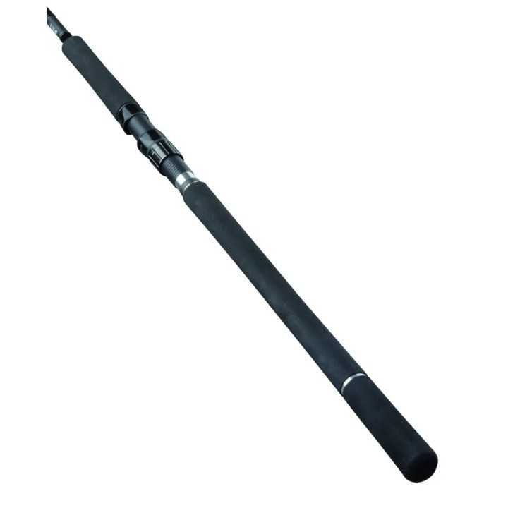 CANNA DAIWA SALTIST X SHORE JIGGING