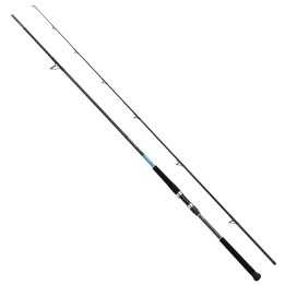 SHIMANO BASSTERRA XT SHORE JIGGING