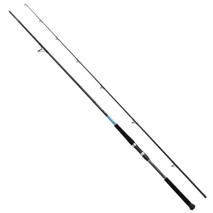 SHIMANO BASSTERRA XT SHORE JIGGING