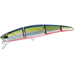 DUOMondo pesca
