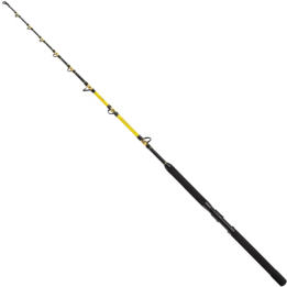 SHIMANO BEASTMASTER CX STAND UP SPIRAL