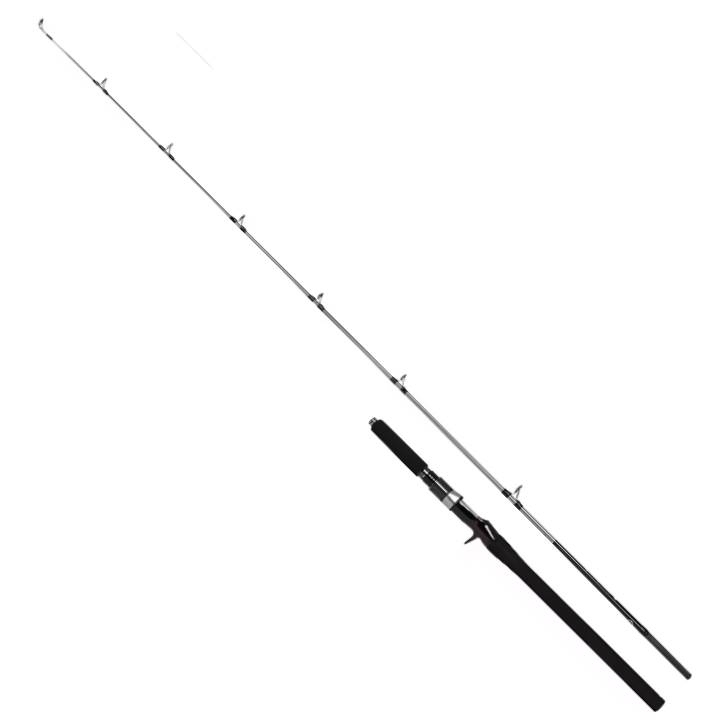 SHIMANO SPEEDMASTER R JIGGING