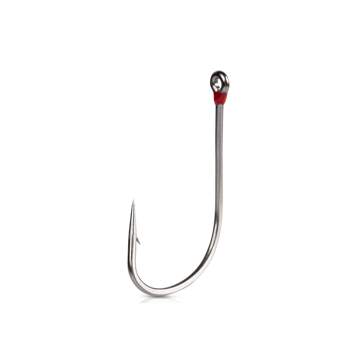 AMI MUSTAD DENTANATO BOTTOM