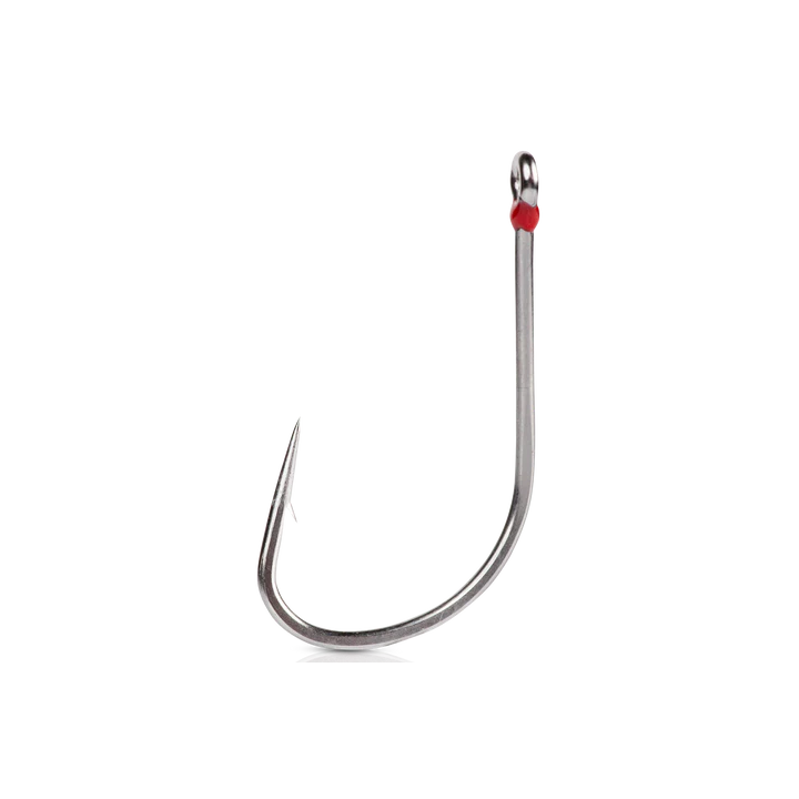 AMI MUSTAD DENTANATO BOTTOM