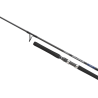 SHIMANO GRAPPLER TYPE C SPINNING